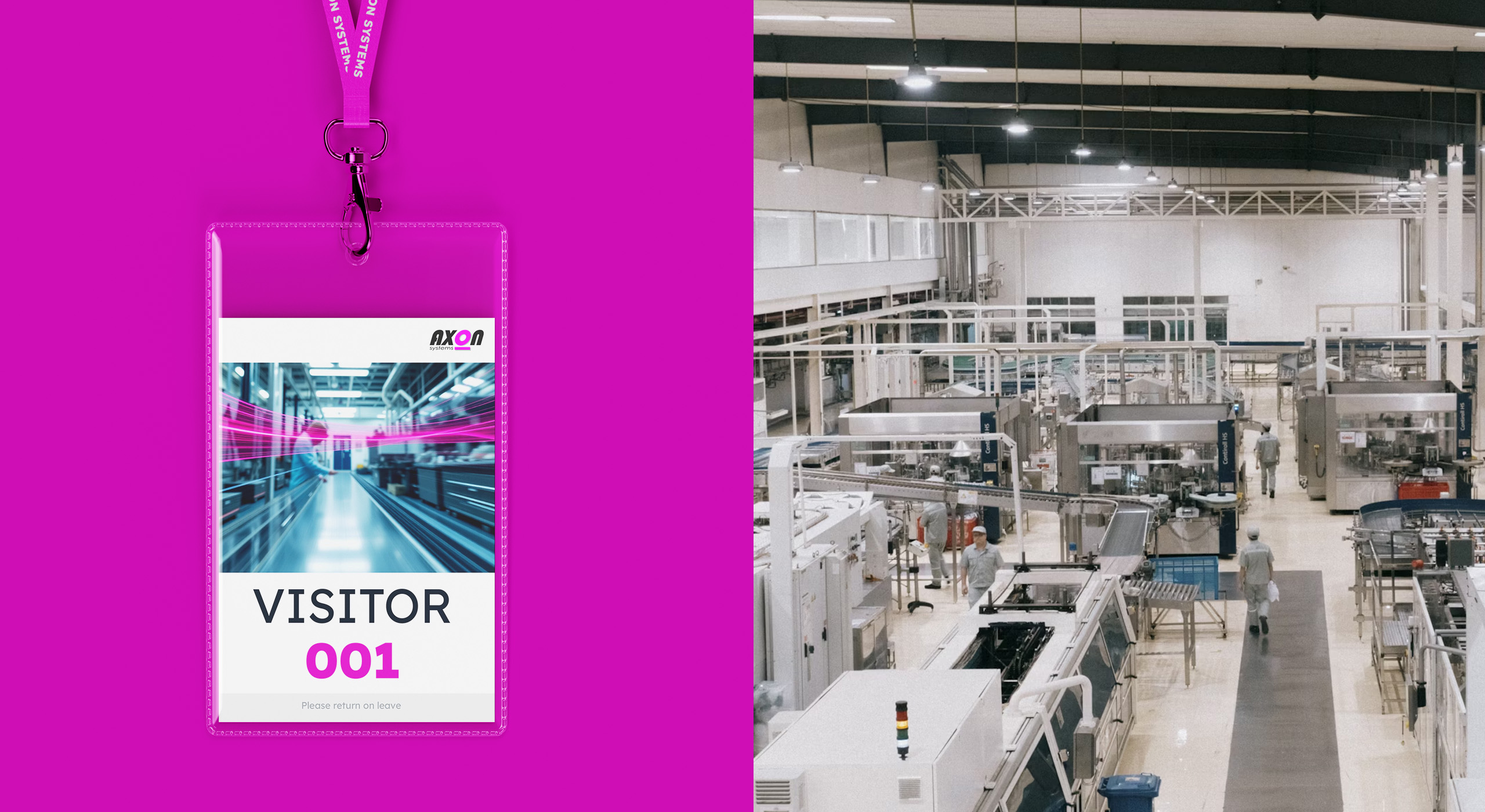 Solution: Complete Website Redesign & Development